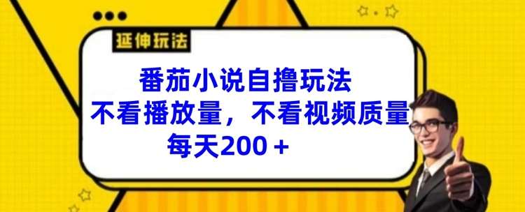 番茄小说自撸玩法，不看播放量，不看视频质量，每天200+【揭秘】插图零零网创资源网