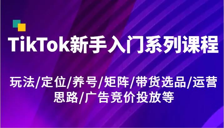 TikTok新手入门系列课程，玩法/定位/养号/矩阵/带货选品/运营思路/广告竞价投放等插图零零网创资源网