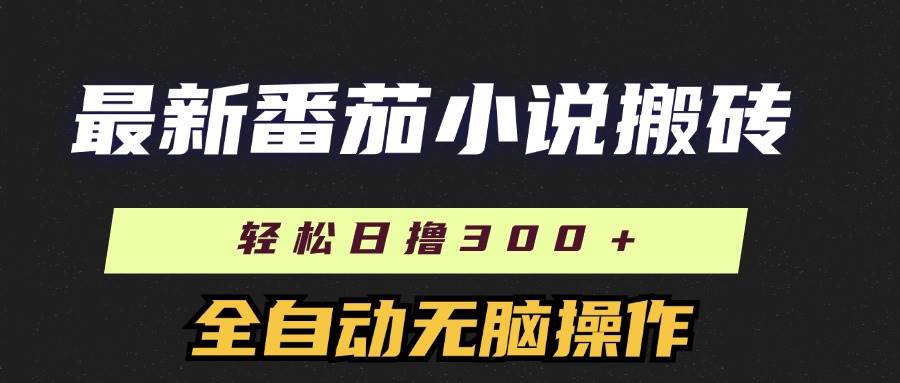 （11904期）最新番茄小说搬砖，日撸300＋！全自动操作，可矩阵放大插图零零网创资源网