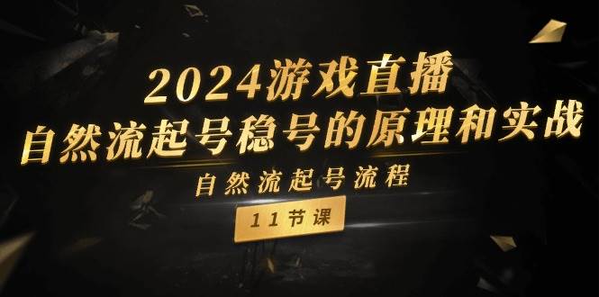 2024游戏直播-自然流起号稳号的原理和实战，自然流起号流程（11节）插图零零网创资源网-最新赚钱项目
