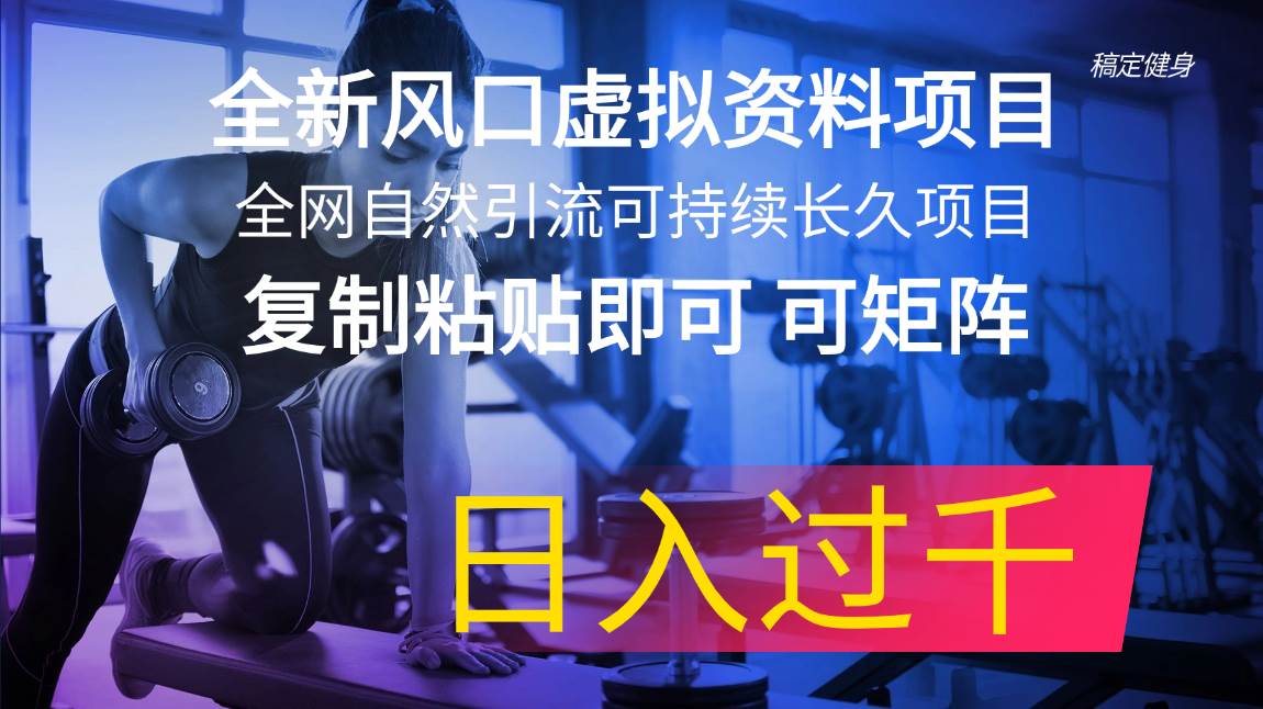 全新风口虚拟资料项目 全网自然引流可持续长久项目 复制粘贴即可可矩阵…插图零零网创资源网