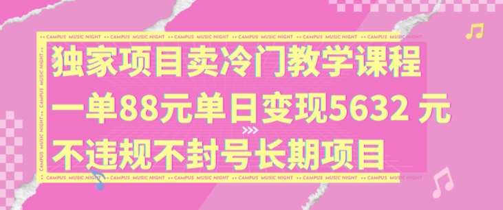 独家项目卖冷门教学课程一单88元单日变现5632元违规不封号长期项目【揭秘】插图零零网创资源网