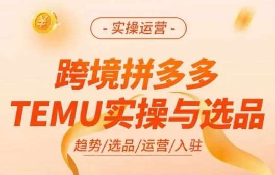 跨境拼多多TEMU实操与选品，多多temu跨境选品运营实操插图零零网创资源网