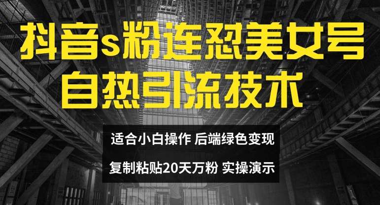 抖音s粉连怼美女号自热引流技术复制粘贴，20天万粉账号，无需实名制，矩阵操作【揭秘】插图零零网创资源网