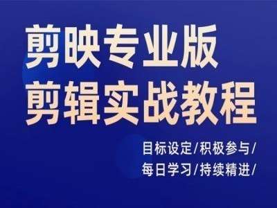 剪映专业版剪辑实战教程，目标设定/积极参与/每日学习/持续精进插图零零网创资源网