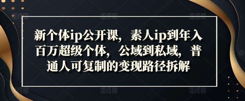 新个体ip公开课，素人ip到年入百万超级个体，公域到私域，普通人可复制的变现路径拆解插图零零网创资源网