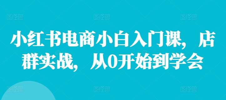 小红书电商小白入门课，店群实战，从0开始到学会插图零零网创资源网