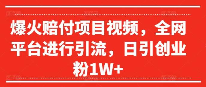 爆火赔付项目视频，全网平台进行引流，日引创业粉1W+【揭秘】插图零零网创资源网