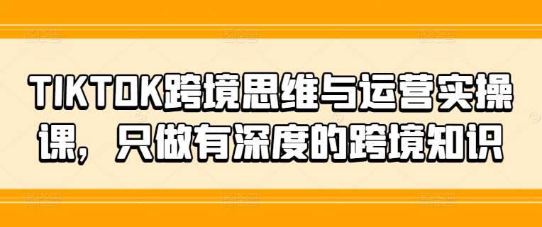 TIKTOK跨境思维与运营实操课，只做有深度的跨境知识插图零零网创资源网