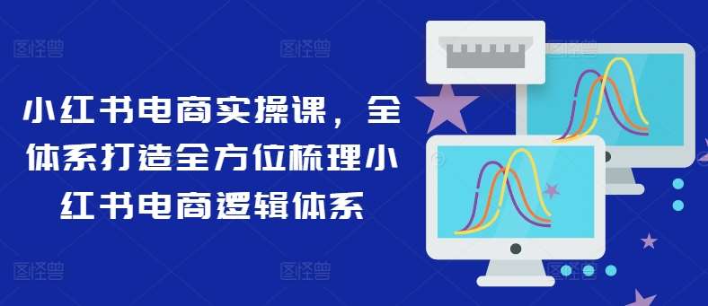 小红书电商实操课，全体系打造全方位梳理小红书电商逻辑体系插图零零网创资源网