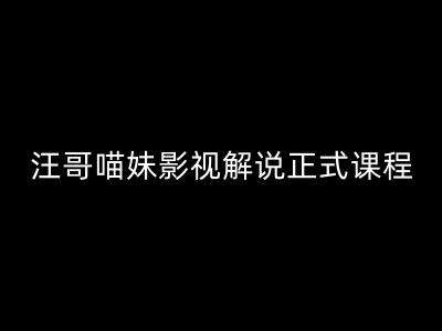 汪哥影视解说正式课程：剪映/PR教学/视解说剪辑5大黄金法则/全流程剪辑7把利器等等插图零零网创资源网