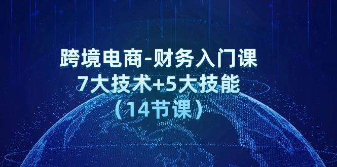 （12047期）跨境电商-财务入门课：7大技术+5大技能（14节课）插图零零网创资源网