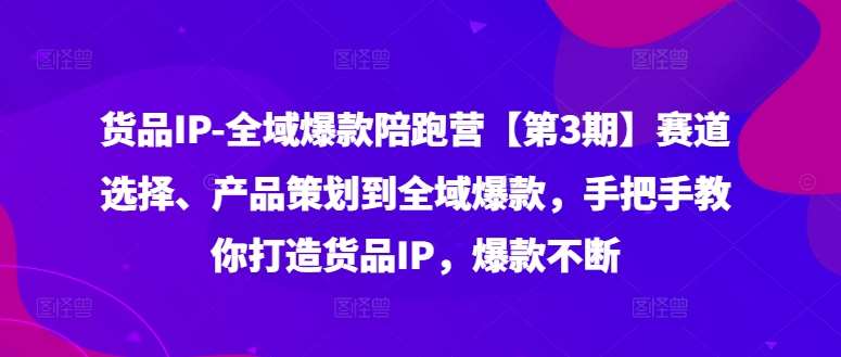 货品IP全域爆款陪跑营【第3期】赛道选择、产品策划到全域爆款，手把手教你打造货品IP，爆款不断插图零零网创资源网