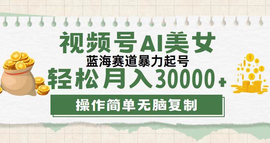 （12087期）视频号AI美女跳舞，轻松月入30000+，蓝海赛道，流量池巨大，起号猛，无…插图零零网创资源网