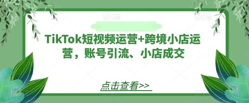 TikTok短视频运营+跨境小店运营，账号引流、小店成交插图零零网创资源网