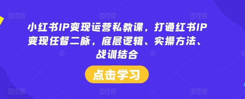 小红书IP变现运营私教课，打通红书IP变现任督二脉，底层逻辑、实操方法、战训结合插图零零网创资源网