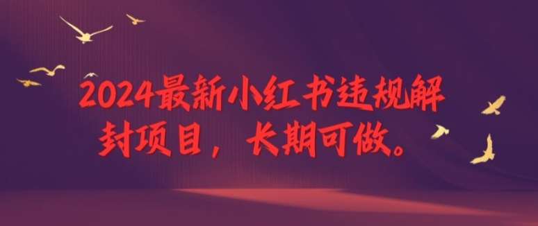 2024最新小红书违规解封项目，长期可做，一个可以做到退休的项目【揭秘】插图零零网创资源网