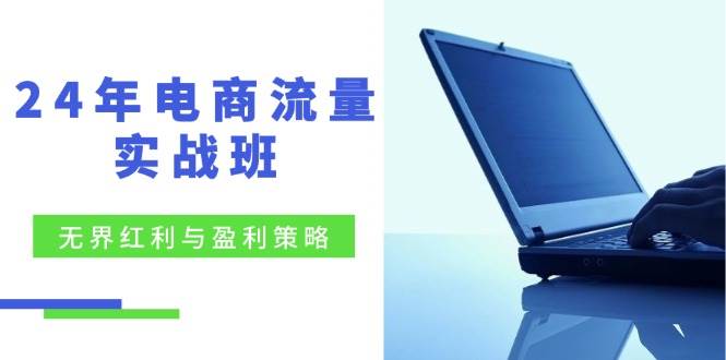 （12168期）24年电商流量实战班：无界 红利与盈利策略，终极提升/关键词优化/精准…插图零零网创资源网