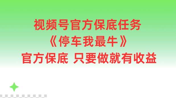 视频号官方保底任务，停车我最牛，官方保底只要做就有收益【揭秘】插图零零网创资源网