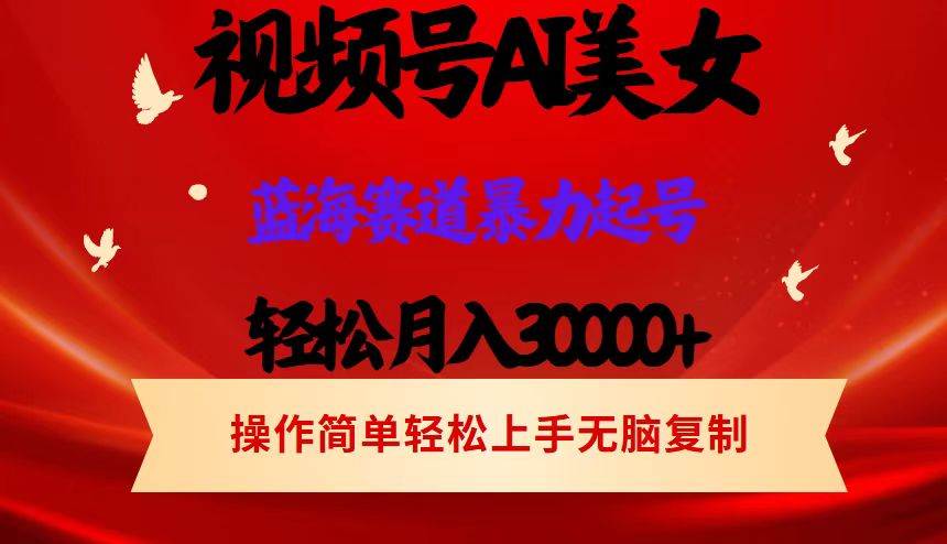 （12178期）视频号AI美女跳舞，轻松月入30000+，蓝海赛道，流量池巨大，起号猛，当…插图零零网创资源网