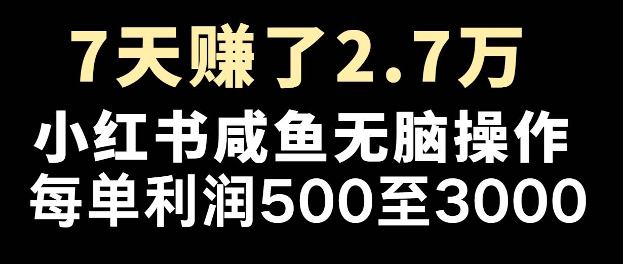 七天赚了2.7万！每单利润最少500+，轻松月入5万+小白有手就行插图零零网创资源网