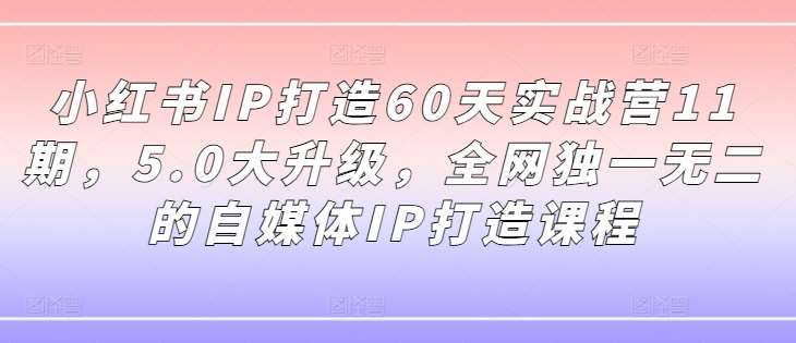 小红书IP打造60天实战营11期，5.0大升级，全网独一无二的自媒体IP打造课程插图零零网创资源网