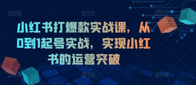 小红书打爆款实战课，从0到1起号实战，实现小红书的运营突破插图零零网创资源网