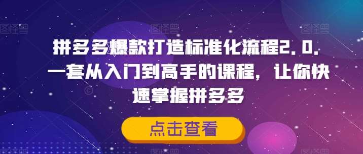 拼多多爆款打造标准化流程2.0，一套从入门到高手的课程，让你快速掌握拼多多插图零零网创资源网-最新赚钱项目
