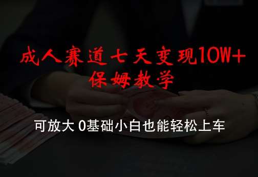 成人赛道七天变现10W+保姆教学，可放大，0基础小白也能轻松上车【揭秘】插图零零网创资源网