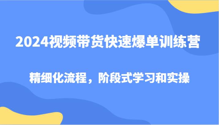 2024视频带货快速爆单训练营，精细化流程，阶段式学习和实操插图零零网创资源网