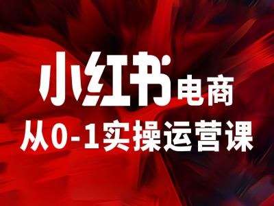 小红书电商从0-1实操运营课，让你从小白到精英插图零零网创资源网