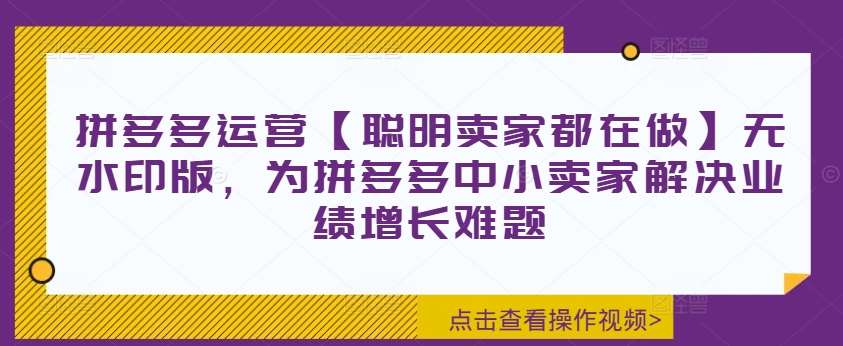 拼多多运营【聪明卖家都在做】无水印版，为拼多多中小卖家解决业绩增长难题插图零零网创资源网