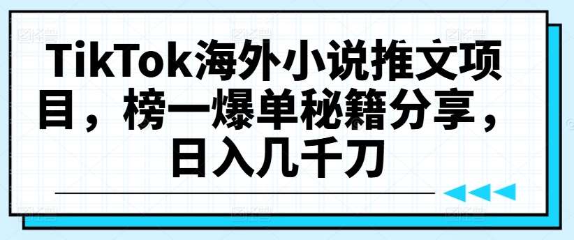 TikTok海外小说推文项目，榜一爆单秘籍分享，日入几千刀插图零零网创资源网