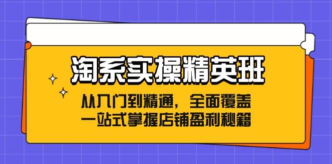 （12276期）淘系实操精英班：从入门到精通，全面覆盖，一站式掌握店铺盈利秘籍插图零零网创资源网