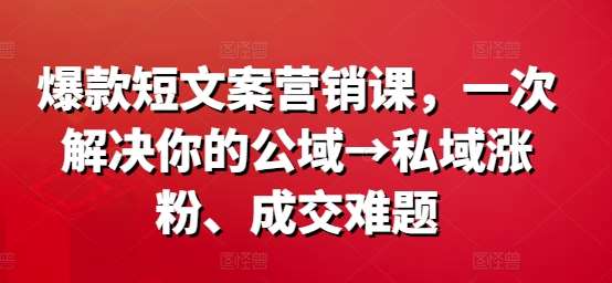 爆款短文案营销课，一次解决你的公域→私域涨粉、成交难题插图零零网创资源网