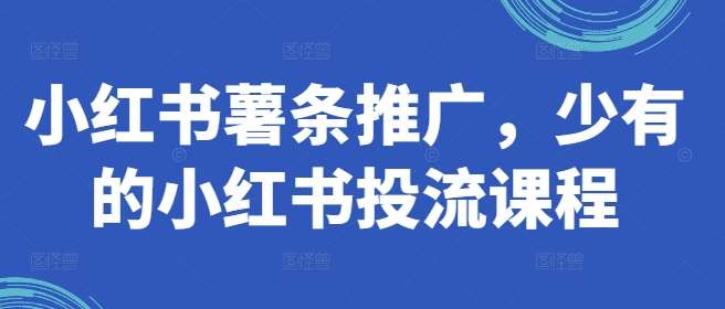 小红书薯条推广，少有的小红书投流课程插图零零网创资源网-最新赚钱项目