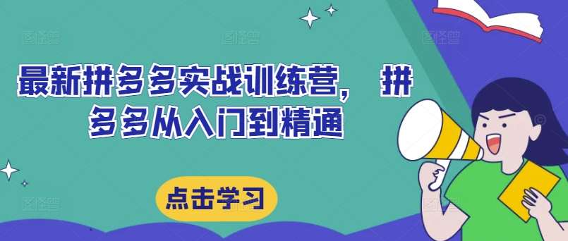 最新拼多多实战训练营， 拼多多从入门到精通插图零零网创资源网