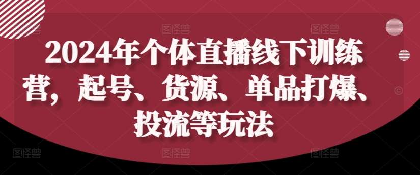 2024年个体直播训练营，起号、货源、单品打爆、投流等玩法插图零零网创资源网