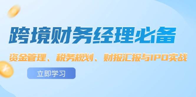 （12323期）跨境 财务经理必备：资金管理、税务规划、财报汇报与IPO实战插图零零网创资源网