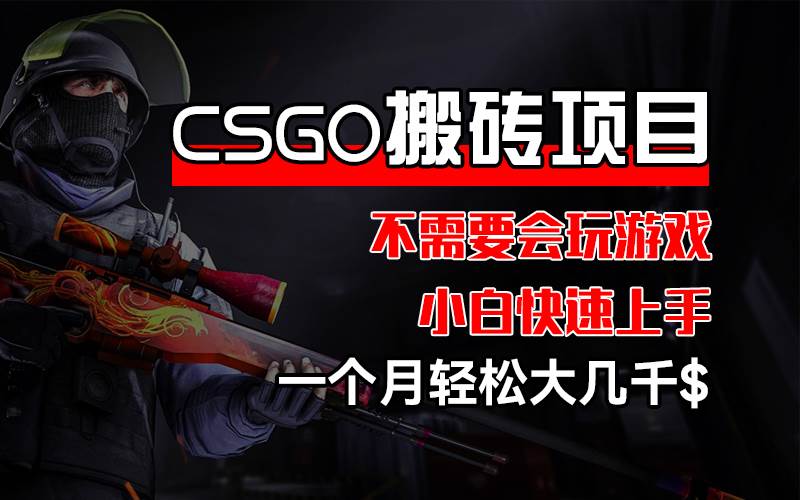 （12332期）CSGO 装备搬砖项目，操作简单，不需要会玩游戏，小白也能快速上手，一…插图零零网创资源网