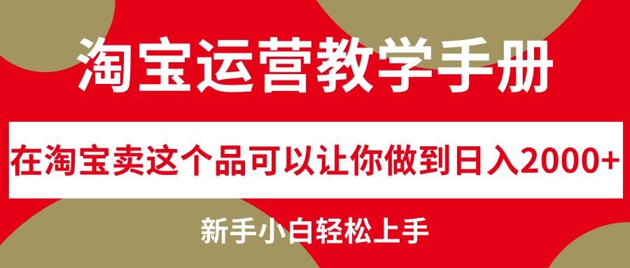 （12351期）淘宝运营教学手册，在淘宝卖这个品可以让你做到日入2000+，新手小白轻…插图零零网创资源网