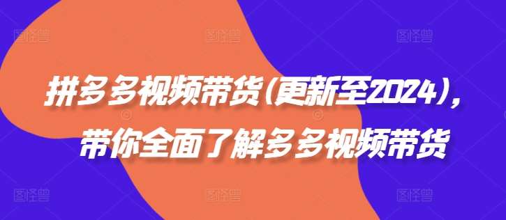 拼多多视频带货(更新至2024)，带你全面了解多多视频带货插图零零网创资源网