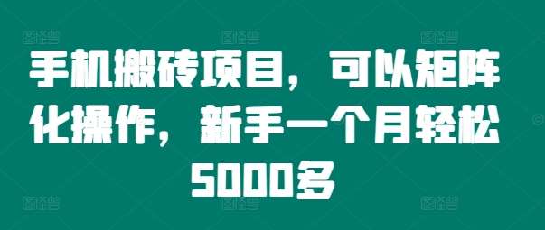 手机搬砖项目，可以矩阵化操作，新手一个月轻松5000多插图零零网创资源网