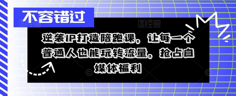 逆袭IP打造陪跑课，让每一个普通人也能玩转流量，抢占自媒体福利插图零零网创资源网