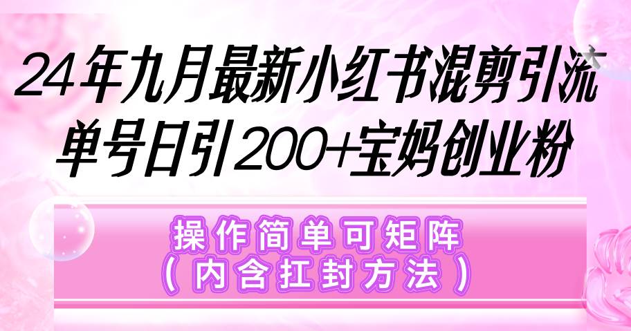 （12530期）小红书混剪引流，单号日引200+宝妈创业粉，操作简单可矩阵（内含扛封…插图零零网创资源网