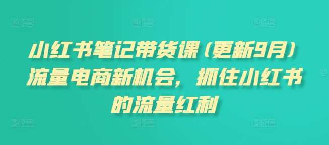 小红书笔记带货课(更新9月)流量电商新机会，抓住小红书的流量红利插图零零网创资源网