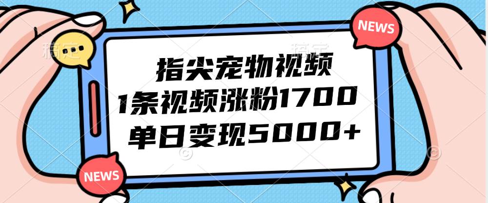 （12549期）指尖宠物视频，1条视频涨粉1700，单日变现5000+插图零零网创资源网