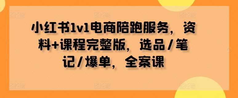 小红书1v1电商陪跑服务，资料+课程完整版，选品/笔记/爆单，全案课插图零零网创资源网