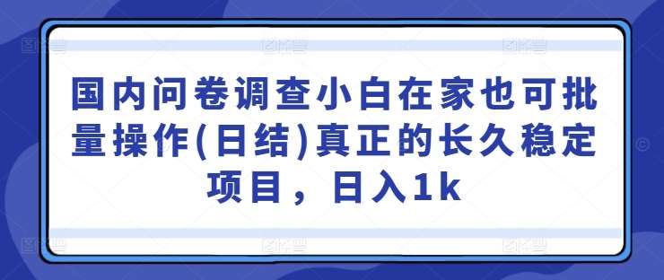 国内问卷调查小白在家也可批量操作(日结)真正的长久稳定项目，日入1k【揭秘】插图零零网创资源网