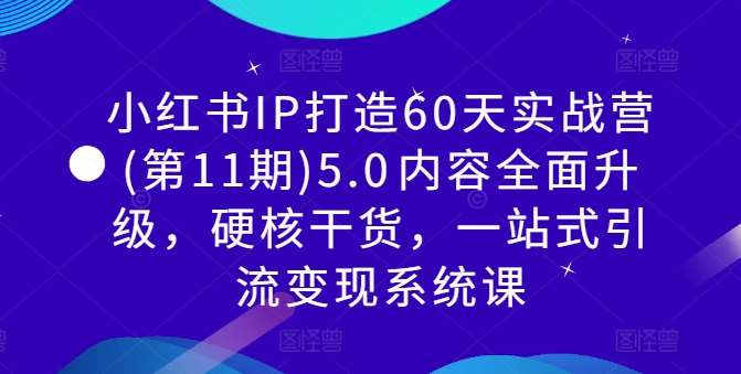 小红书IP打造60天实战营(第11期)5.0​内容全面升级，硬核干货，一站式引流变现系统课插图零零网创资源网